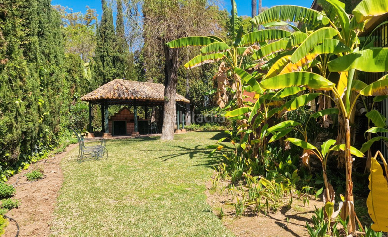 Foto d42c6a0a-1997-423e-803d-9d86497e82d1. Xalet amb aparcament piscina a Los Naranjos Marbella