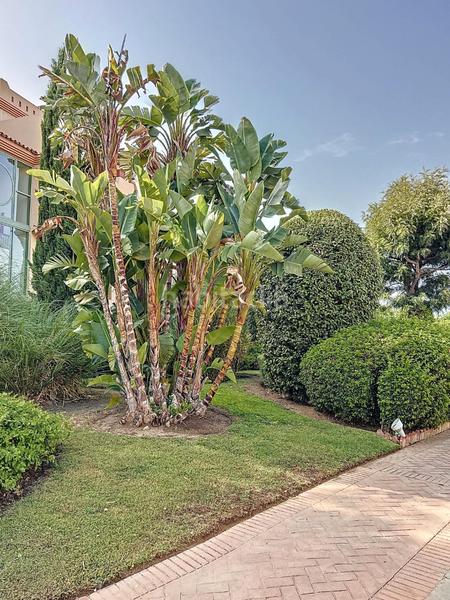 Foto d03d9f79-40df-4087-861b-b1fcb7c2bd32. Dúplex en calle frank sinatra 166 dúplex en venta en complejo de glf Los Flamingos, benahavis 0, en Benahavís