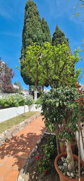 Foto 09a5f67b-99b0-444e-9ad2-04569b41cc09. Etagenwohnung in calle bermeja 20 in Casco Antiguo Marbella