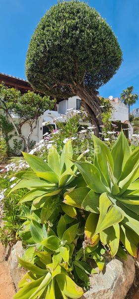 Foto 45fda0a4-9964-4d95-85e8-f1b73b0cb088. Etagenwohnung in calle bermeja 20 in Casco Antiguo Marbella