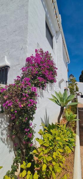 Foto cfbd53ab-1c7f-4509-a603-23faac10736d. Etagenwohnung in calle bermeja 20 in Casco Antiguo Marbella