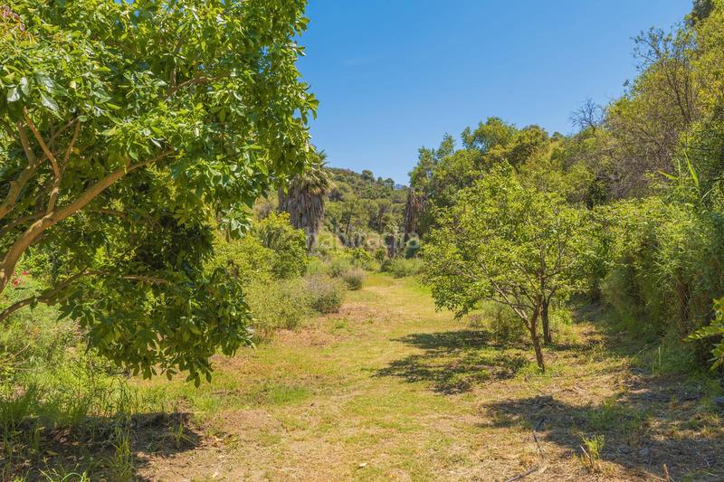 Foto 53840519-eafa-46b7-b37b-7fa8a19203c5. Terrain résidentiel dans calle Parque Central 5 dans Estepona