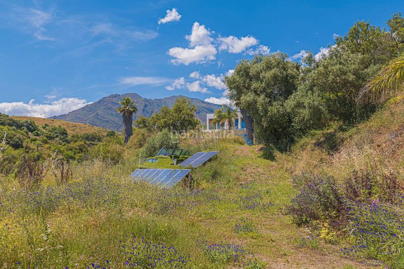 Foto 8d13c602-f399-4fc9-a3e2-c2d093a050da. Terrain résidentiel dans calle Parque Central 5 dans Estepona