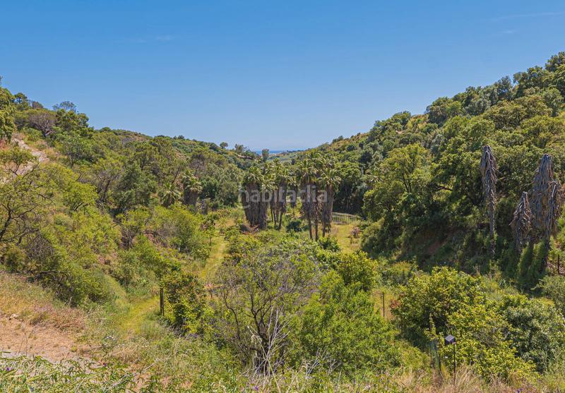 Foto 922ec699-2e79-4f5e-9d2f-8c62e32a81c9. Terrain résidentiel dans calle Parque Central 5 dans Estepona