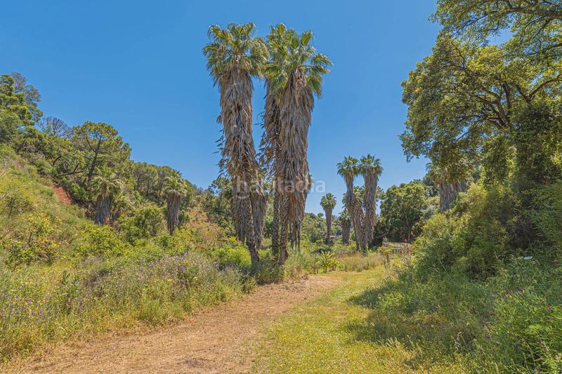 Foto b50ba771-16bc-499a-a5ce-31c09072b131. Terrain résidentiel dans calle Parque Central 5 dans Estepona