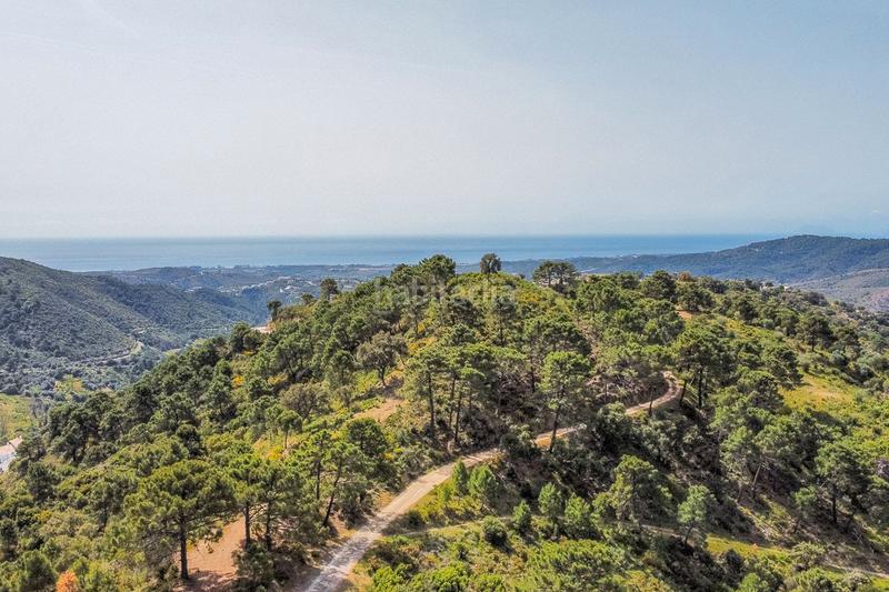 Foto 254b2fd1-5211-41eb-8d7b-1e91290bb0a0. Terreny residencial a carretera benahavís 11 a Nueva Atalaya Estepona