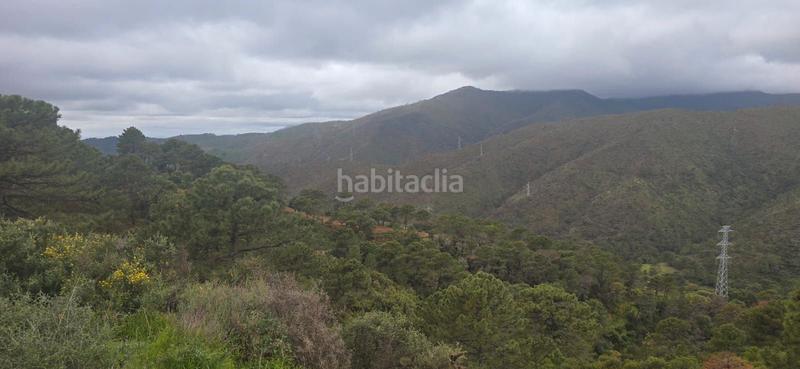 Foto 2acb9aa0-38af-4c69-b7e6-ba06a101f4cf. Terreny residencial a carretera benahavís 13 a Nueva Atalaya Estepona