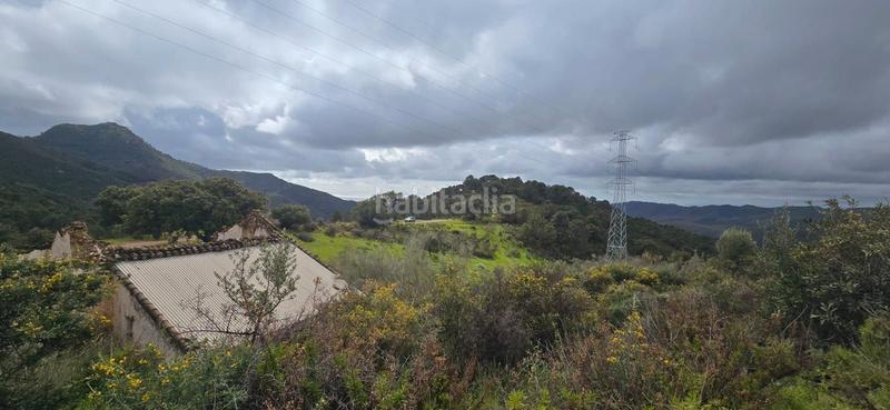 Foto 65b1aa3d-3391-4970-b31d-6456eef52c94. Terreny residencial a carretera benahavís 13 a Nueva Atalaya Estepona