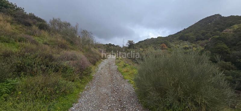 Foto a142a772-175a-4653-b8d0-ba8db23412fd. Terreny residencial a carretera benahavís 13 a Nueva Atalaya Estepona