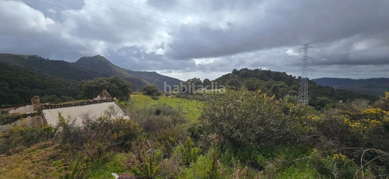 Foto d8c2843b-d665-40df-ac1a-a367a6e7906e. Terreny residencial a carretera benahavís 13 a Nueva Atalaya Estepona