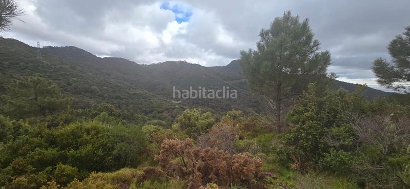 Foto e5403976-fdfe-442b-b0b0-2fe82edcaf17. Terreny residencial a carretera benahavís 13 a Nueva Atalaya Estepona