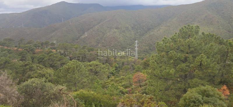 Foto e66125da-d7e9-4f93-ac69-896eaa1ab7c1. Terreny residencial a carretera benahavís 13 a Nueva Atalaya Estepona