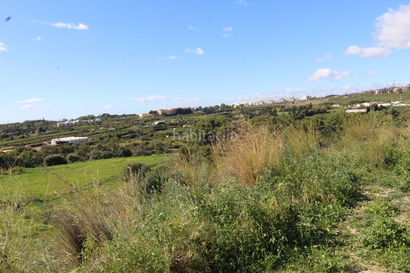 Foto fba00c0e-9685-47f1-8c05-c641d9f03513. Terreno residencial en calle la pacheca alta 22 terreno en venta en benahavis, malaga, costa del sol 0, en Benahavís
