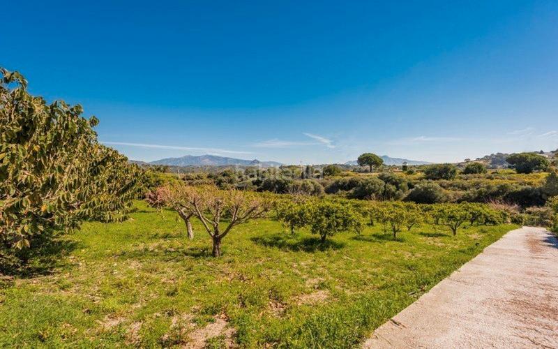 Foto 07e5072f-4b21-4ccd-a5b0-ec051e5210cb. Xalet amb xemeneia aparcament a Huerta Nueva Estepona