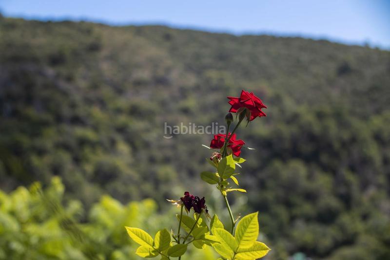 Foto b1399afa-dd2e-4c39-b901-b817915b563e. Haus in n/a in Igualeja