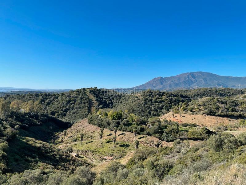 Foto 1e7791b8-b374-4ac4-9ae6-f93a9c61b424. Terrain résidentiel dans avenida benamara 15 dans Paraiso - Barronal Estepona