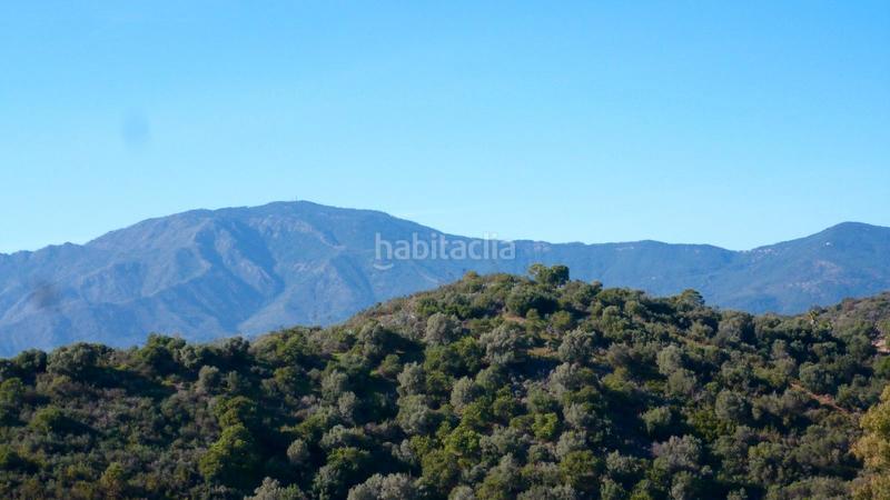 Foto 6356c53b-97b7-4383-8fa1-77248b7acbcc. Terrain résidentiel dans avenida benamara 15 dans Paraiso - Barronal Estepona
