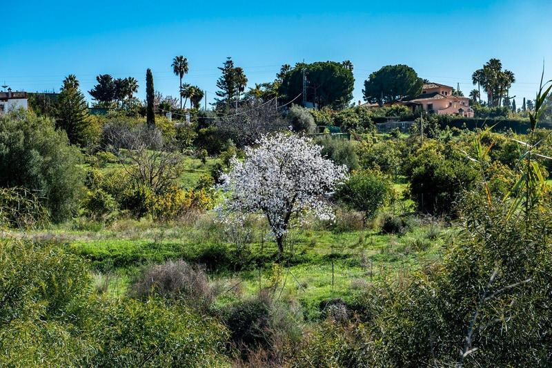 Foto 95e10dd6-8f6a-4641-8170-727ff7288f7f. Terreny residencial a calle benalauria 11 a La Concha - Resina Golf Estepona