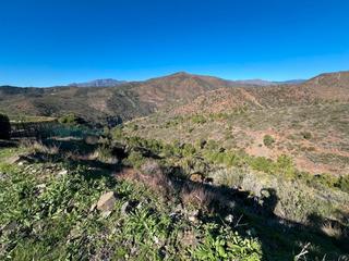 Terreno residencial en Benahavís pueblo. Descubre el potencial ilimitado de tu futuro hogar en monte mayo