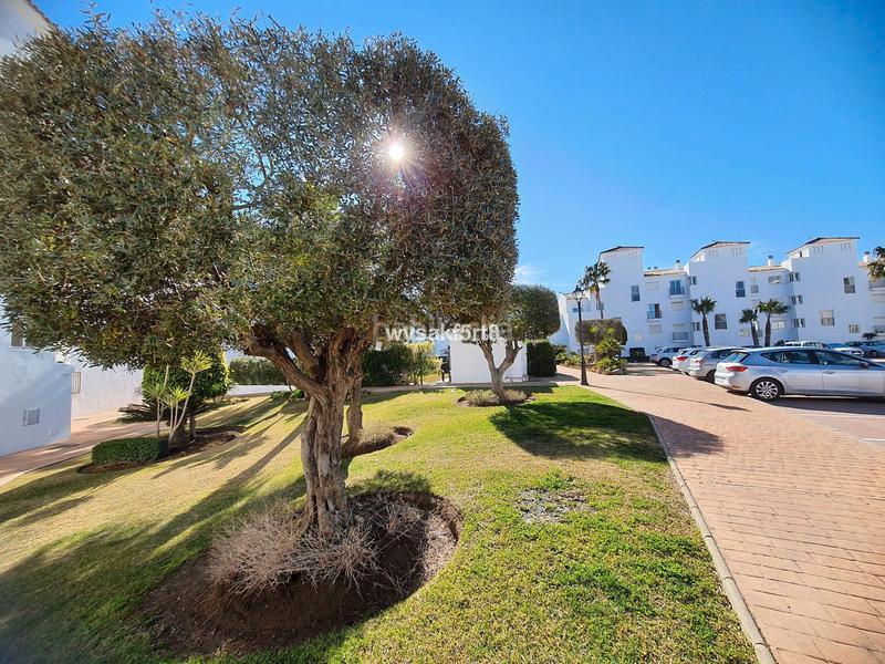Foto d1fb4b17-3813-4814-83e3-50a4a364b158. Pis a calle aguamarina 12 a El Castillo Manilva