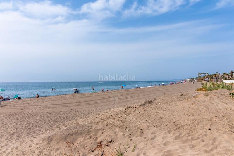 Foto 0746b546-d92a-48c6-b9c3-a62af9c9061f. Bauernhof in avenida pablo picasso 12 in Villacana - Costalita - Saladillo Estepona