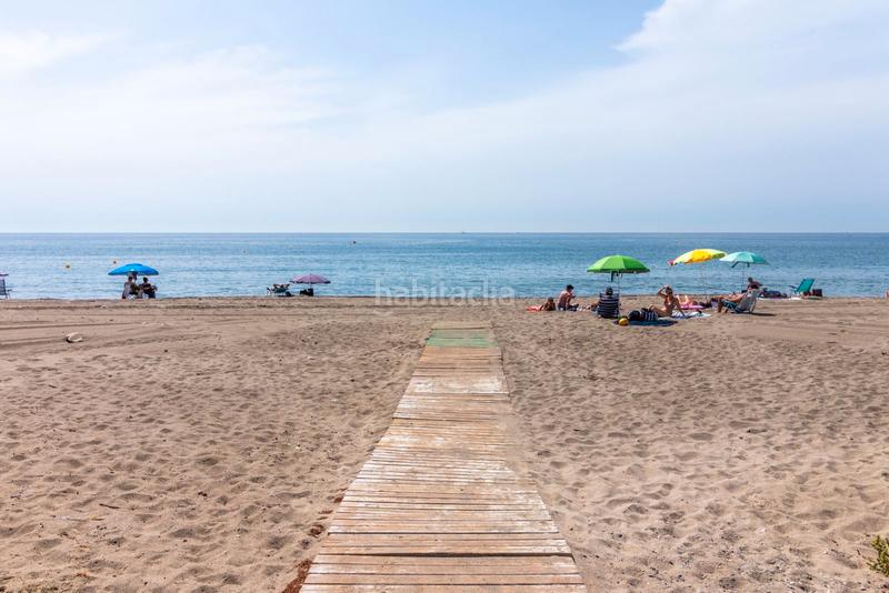 Foto 0ab8e67c-4139-4adf-8887-a4c5adc03d3d. Bauernhof in avenida pablo picasso 12 in Villacana - Costalita - Saladillo Estepona