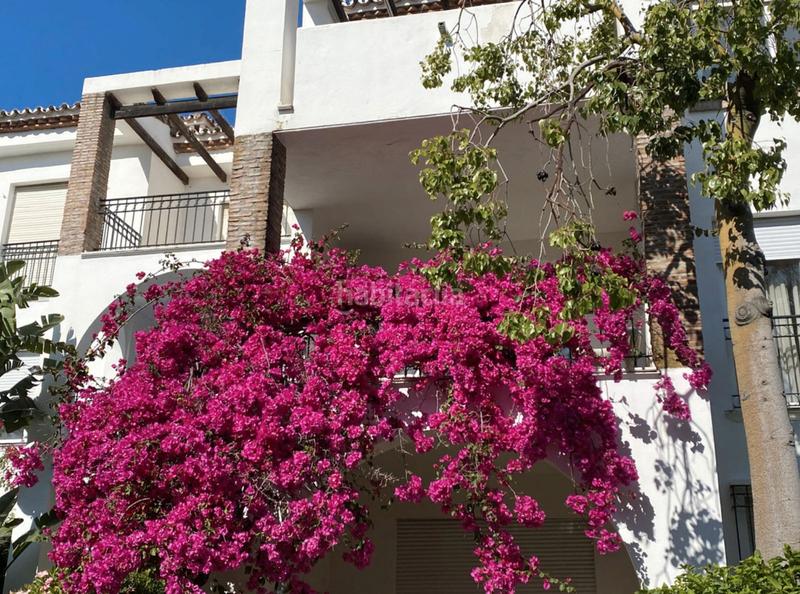 Foto b3f87b24-0285-4dc9-9dff-72b4fc1878be. Miete etagenwohnung in plaza lance 10 in El Velerín Estepona