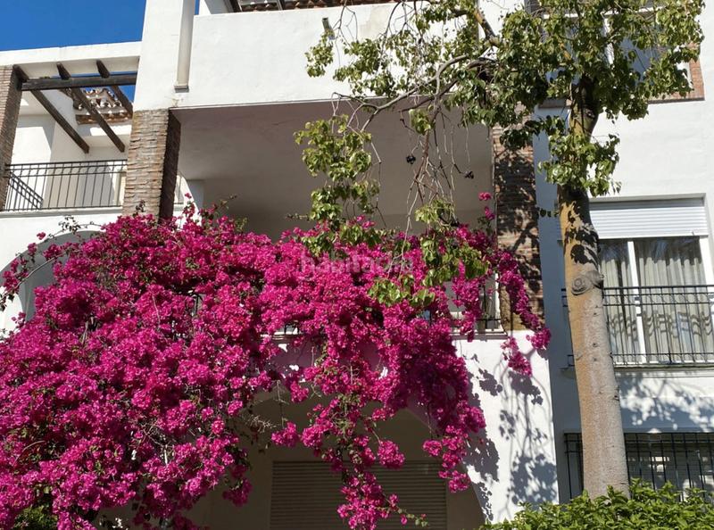 Foto a091bb34-2c58-48ad-abf5-edfd2a110773. Rent flat in plaza lance 10 in El Velerín Estepona