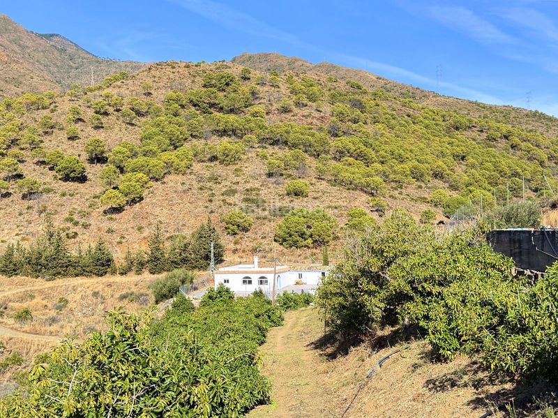Foto e53e9410-3636-4282-9af4-d0e9d30786a8. Casa amb piscina a Centro Estepona