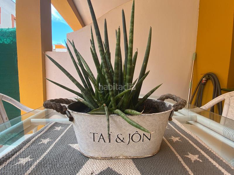 Foto ab181150-8fbb-4032-b7ab-661e962e37c9. Location rez-de-chaussée dans calle veleta 1 dans Nueva Atalaya Estepona