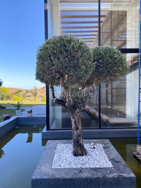 Foto baf60697-b4ca-498e-a5fe-fdfde5096fae. Location maison dans n/a dans Montemayor - Marbella Club Benahavís