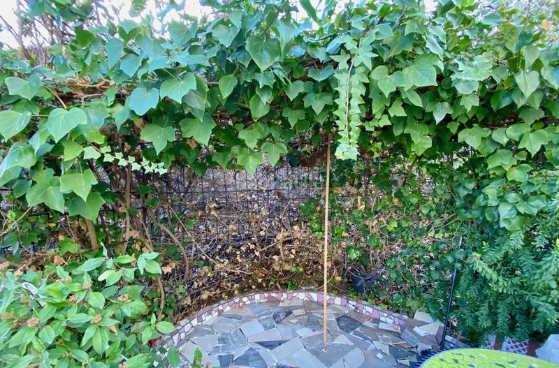 Foto 7db696c5-23fc-4069-b1e3-f2bfb4049123. Affitto chalet in n/a in Centro Estepona