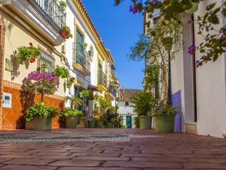 Planta baixa  Calle mar. Gran bajo duplex, comodo silencioso y centrico