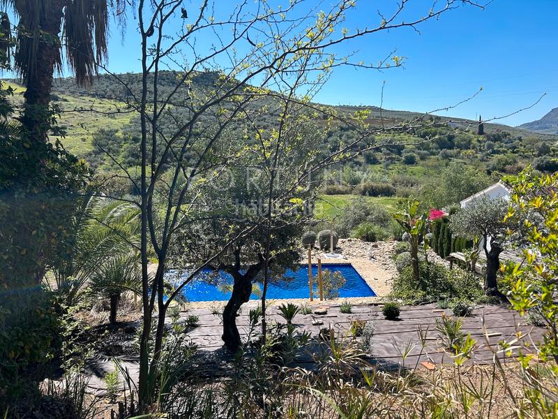 Foto e3d60e00-4edd-4f54-8f44-a4482cc6a690. Mas dans n/a 13 dans Álora