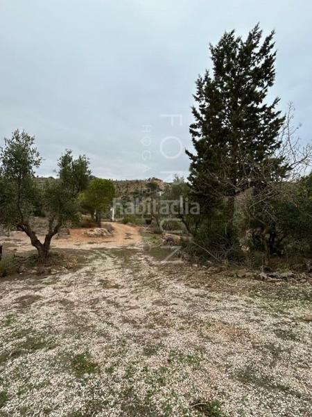 Foto 26ce320f-5d60-4d04-8e95-69a4d0937be3. Mas dans n/a 8e dans Cueva de Menga Antequera