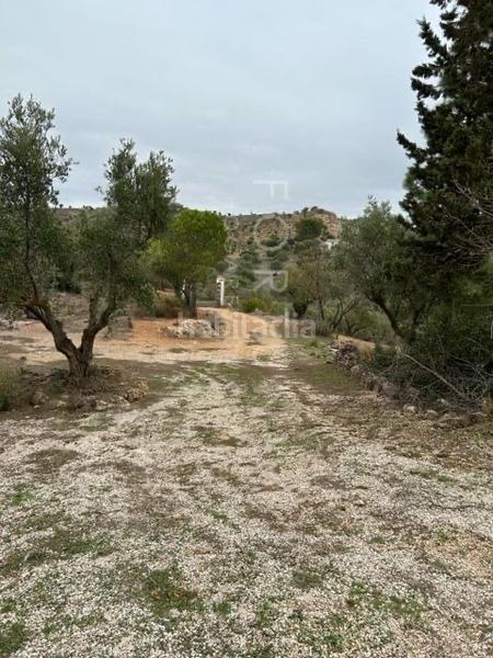 Foto 61db444a-bb3d-4c39-8cb0-fa71a480f1b8. Mas dans n/a 8e dans Cueva de Menga Antequera