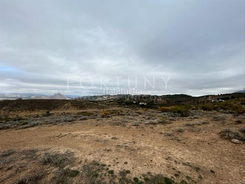 Foto 67f4ae5b-eaf0-4b0c-9170-81cb66093655. Mas dans n/a 8e dans Cueva de Menga Antequera