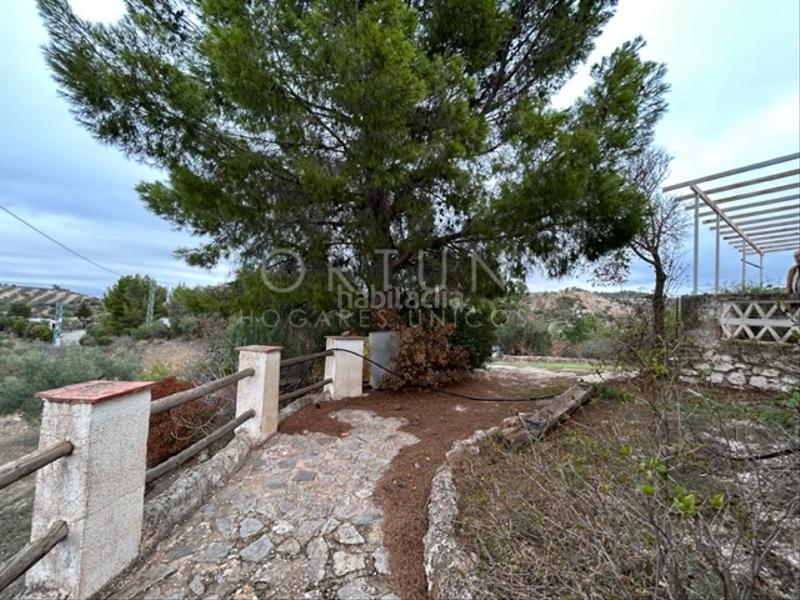 Foto 7f4c6ab9-df7a-4648-bc1b-650e6c969529. Mas dans n/a 8e dans Cueva de Menga Antequera