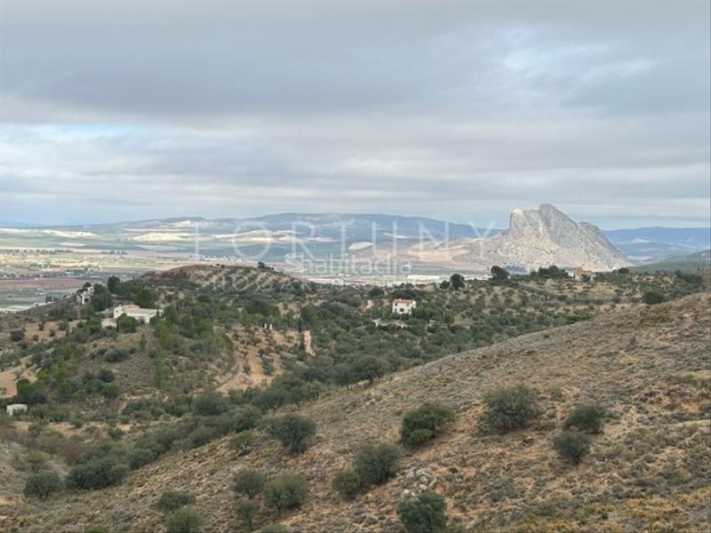 Foto 83cc9526-f672-4030-b5f5-999d5a2d9f07. Mas dans n/a 8e dans Cueva de Menga Antequera