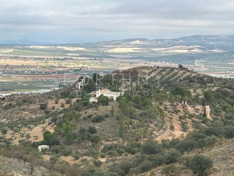 Foto e112b954-03b9-4c6d-bca7-e8cf616ff530. Mas dans n/a 8e dans Cueva de Menga Antequera