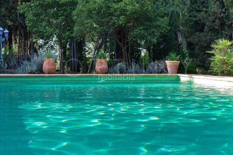 Foto 7d5e356d-9476-4f9c-b246-d22ca77c0c88. Mas dans avenida llano de pablo picasso 16 dans Archidona