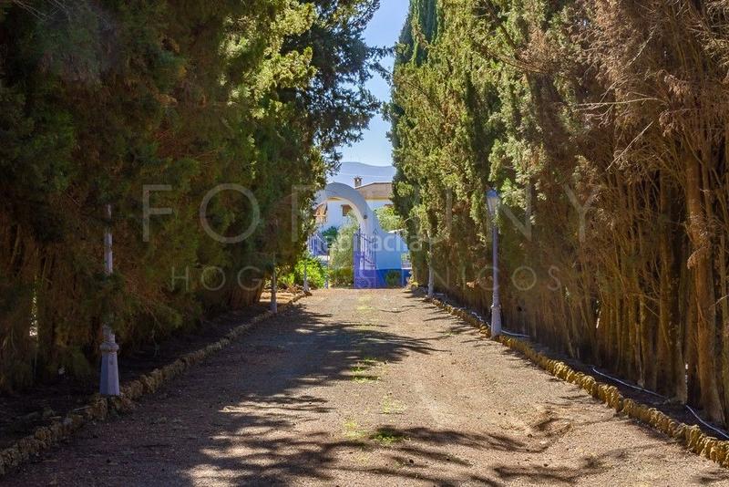 Foto 83f0c739-b663-434c-8af1-11fc8511f74d. Mas dans avenida llano de pablo picasso 16 dans Archidona