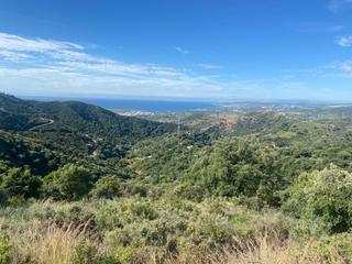 Terreno residencial en Altos de Estepona. Parcela rústica a la venta en la zona de los reales con posibili