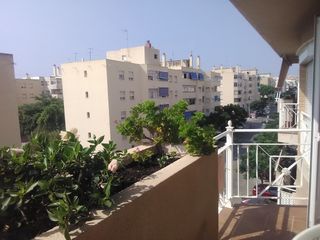 Rent Flat in Centro