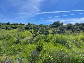 Terreny residencial a Guadalobón