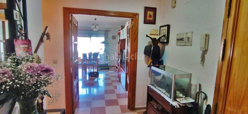 Foto 38d9b469-a5a8-4b1b-a59e-5d34c9d2a27c. Pis a Centro Estepona