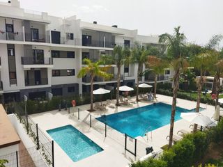 Rent Apartment in Centro