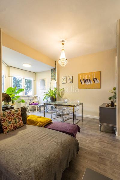 Foto 8822a026-7d6f-4c83-a806-9281f7e44526. Pis a Centro Jerez de la Frontera