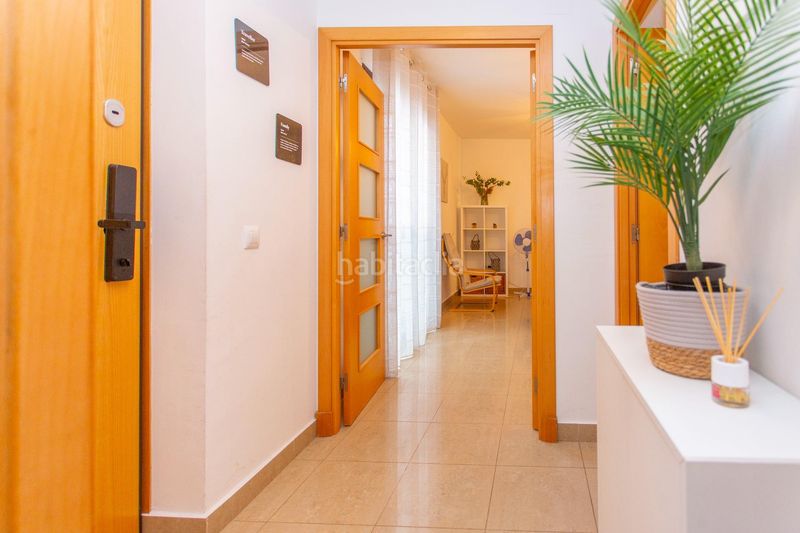 Foto 66bd1c68-2d35-415a-ab68-3446567e8168. Pis a Centro Jerez de la Frontera