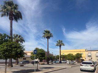 Flat in El Rocío - La Milagrosa. Ideal piso con azotea en barriada la milagrosa